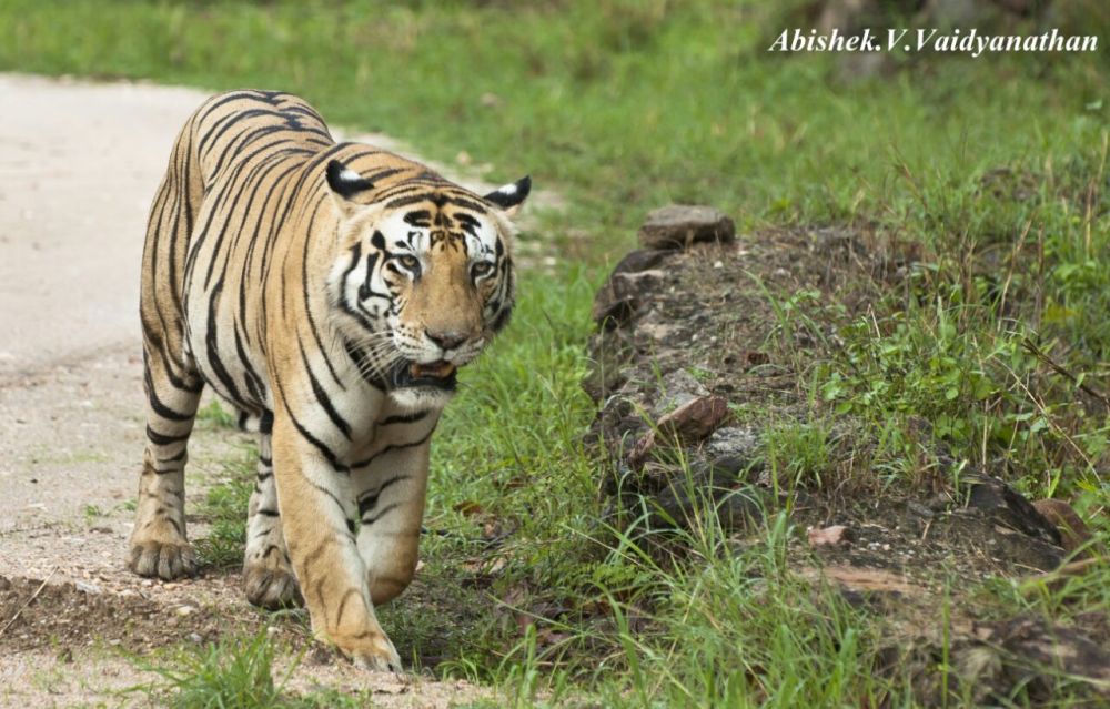 WhatsApp Image 2018-01-19 at 3.43.46 PM